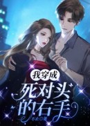 我穿成死对头的右手