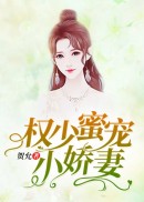 权少蜜宠小娇妻