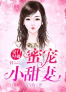 豪门闪婚：蜜宠小甜妻