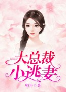 大总裁，小逃妻！
