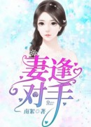 妻逢对手