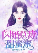 闪婚总裁甜蜜蜜