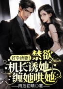 好孕娇妻！禁欲机长诱她缠她哄她