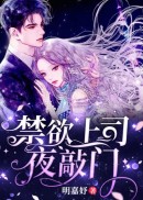 禁欲上司夜敲门